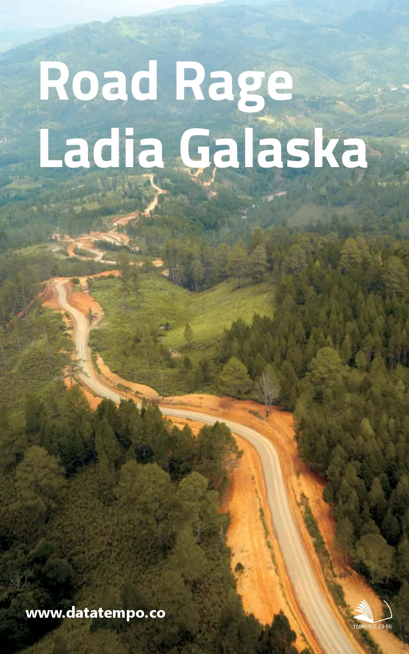 Road rage Ladia Galaska