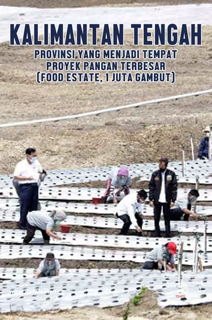 Kalimantan Tengah, Provinsi yang Menjadi Tempat Proyek Pangan Terbesar