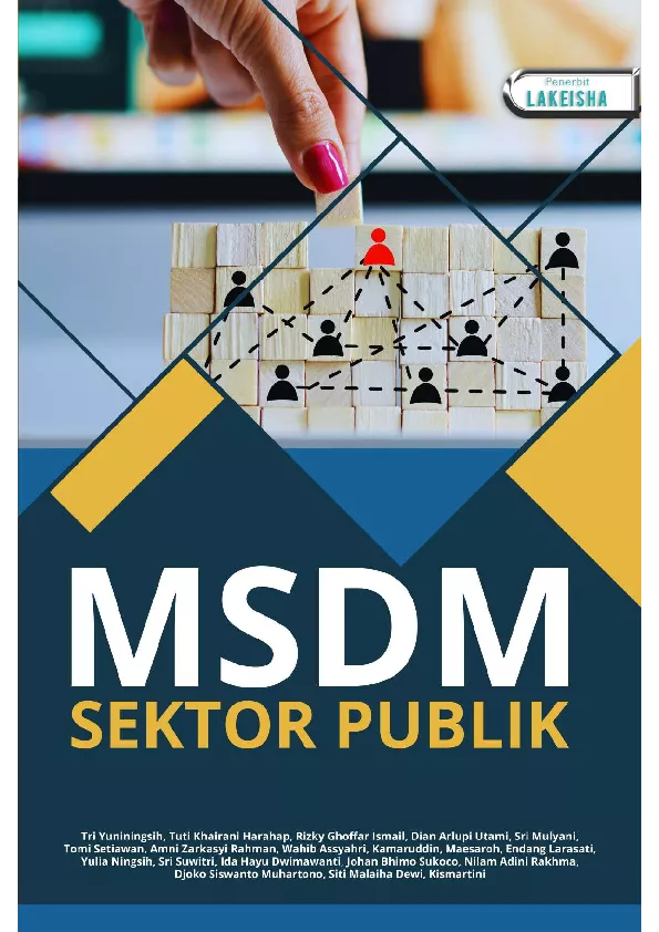 MSDM Sektor Publik