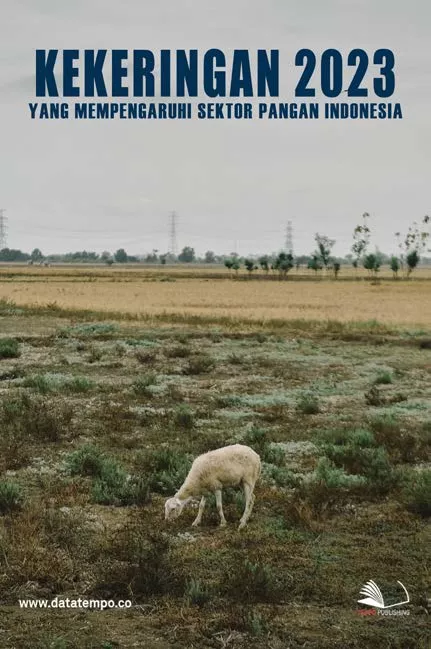 Kekeringan 2023 yang Mempengaruhi Sektor Pangan Indonesia