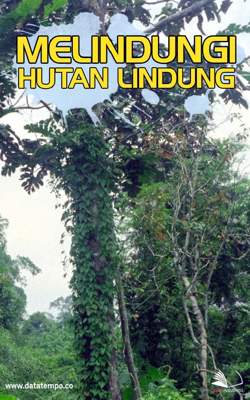 Melindungi Hutan Lindung