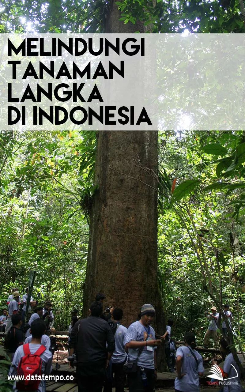 Melindungi Tanaman Langka di Indonesia