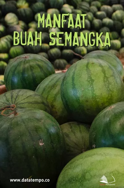 Manfaat Buah Semangka