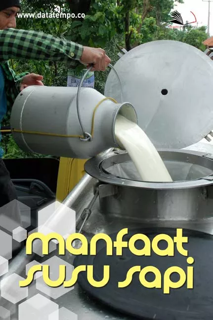 Manfaat Susu Sapi