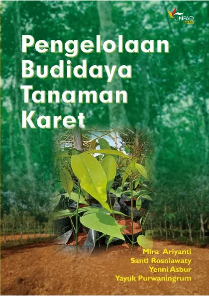Pengelolaan Budidaya Tanaman Karet