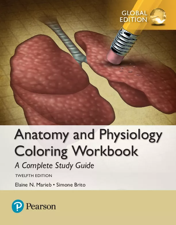 Anatomy and Physiology Coloring Workbook: A Complete Study Guide, Global Edition (12th edition)
