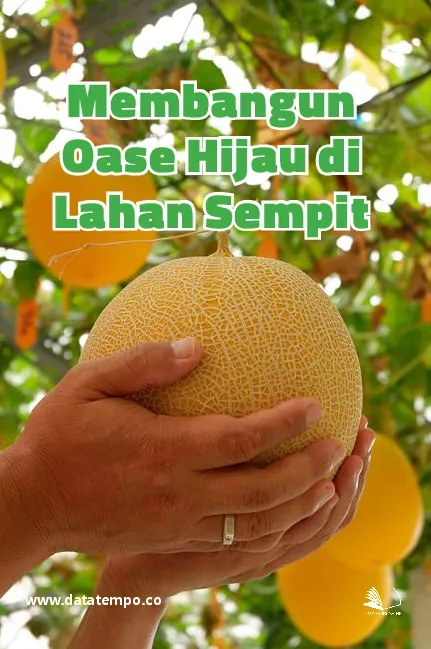 Membangun Oase Hijau di Lahan Sempit