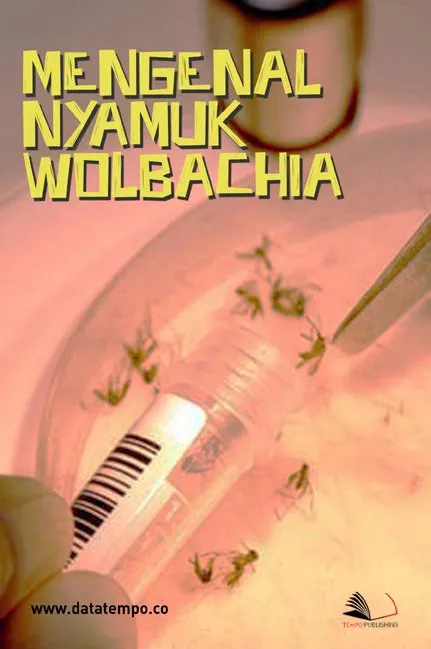 Mengenal Nyamuk Wolbachia