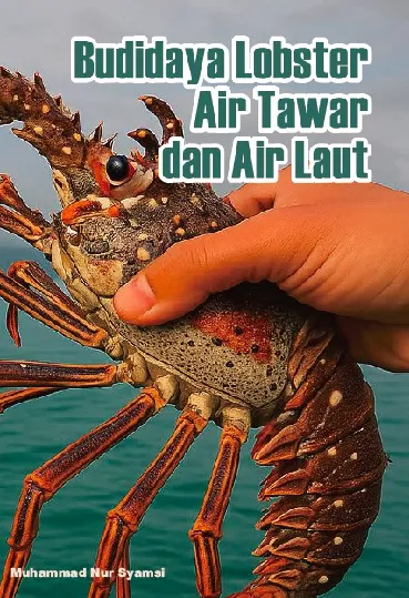 Budidaya lobster air tawar dan air laut