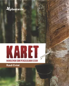 Karet; Manajemen dan Pengelolaan Kebun