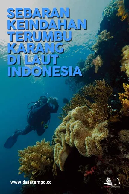 Sebaran Keindahan Terumbu Karang di Laut Indonesia