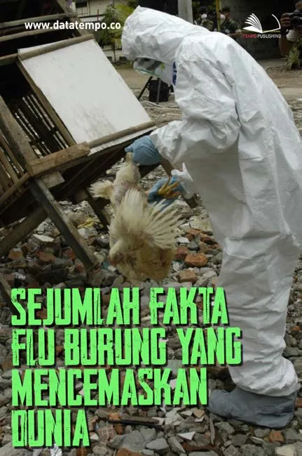 Sejumlah Fakta Flu Burung yang Mencemaskan Dunia