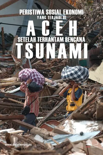 Peristiwa Sosial Ekonomi Yang Terjadi Di Aceh Setelah Terhantam Bencana Tsunami