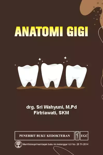 Anatomi Gigi