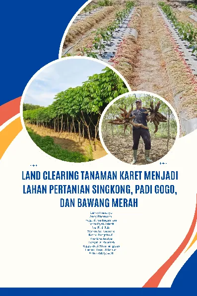 Land Clearing Tanaman Karet Menjadi Lahan Pertanian Singkong, Padi Gogo, Dan Bawang Merah