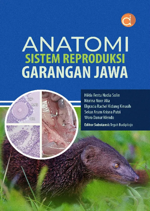 Anatomi Sistem Reproduksi Garangan Jawa