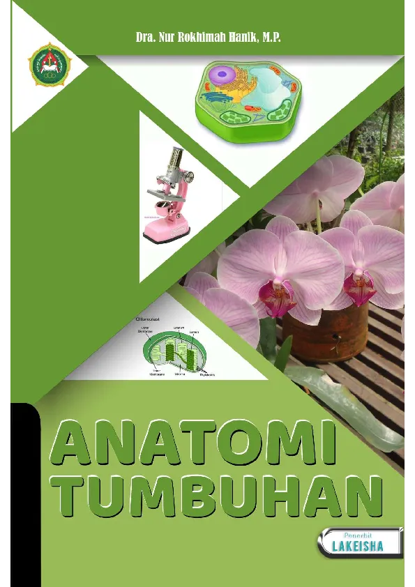 ANATOMI TUMBUHAN