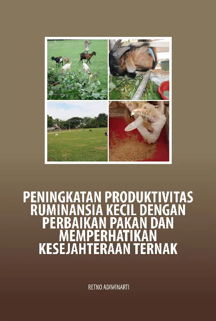 Peningkatan produktivitas ruminansia kecil dengan perbaikan pakan dan memperhatikan kesejahteraan ternak