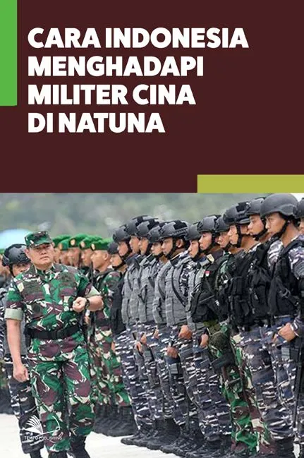 Cara Indonesia Menghadapi Militer Cina di Natuna