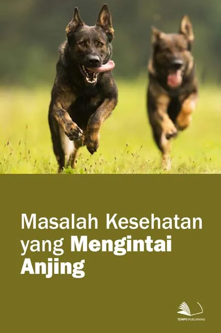 Masalah Kesehatan yang Mengintai Anjing