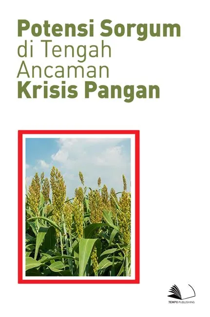 Potensi Sorgum di Tengah Ancaman Krisis Pangan
