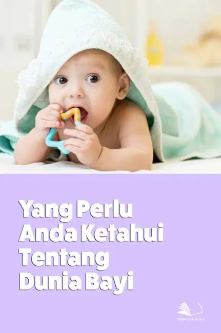 Yang Perlu Anda Ketahui Tentang Dunia Bayi