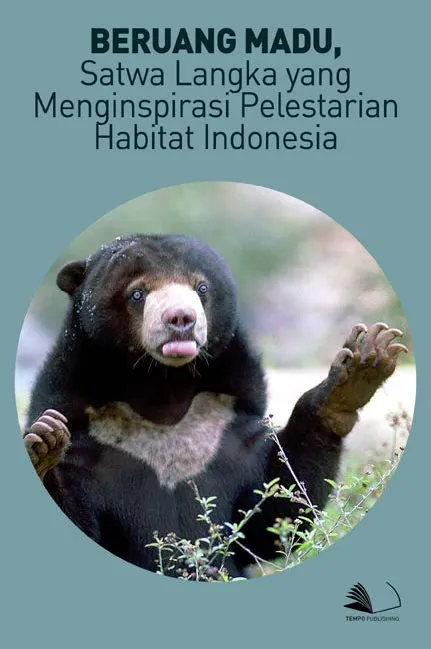 Beruang Madu, Satwa Langka yang Menginspirasi Pelestarian Habitat Indonesia