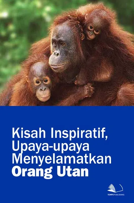 Kisah Inspiratif, Upaya-upaya Menyelamatkan Orang Utan