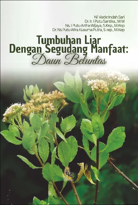 Tumbuhan Liar Dengan Segudang Manfaat: Daun Beluntas