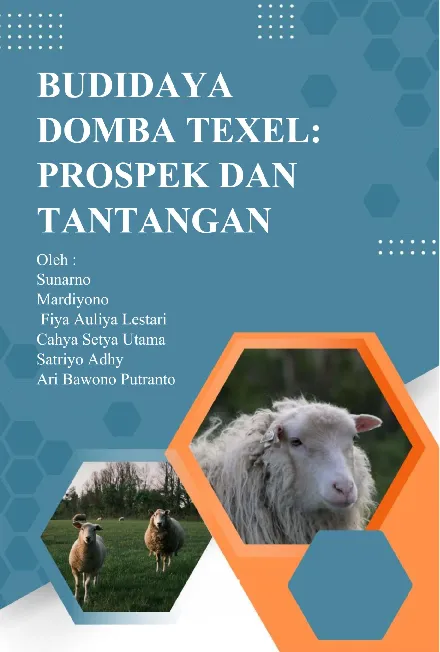 Budidaya Domba Texel: Prospek dan Tantangan