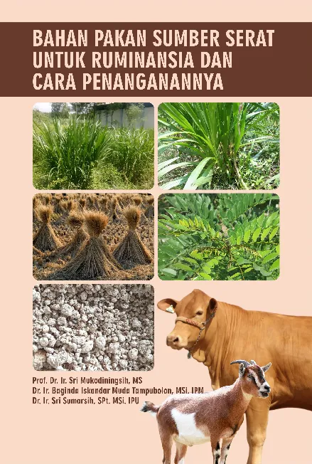 Bahan Pakan Sumber Serat untuk Ruminansia dan Cara Penanganannya