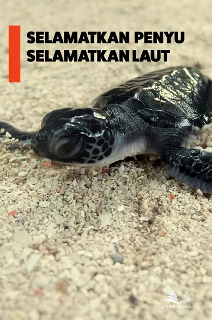 Selamatkan Penyu, Selamatkan Laut