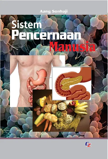 Sistem Pencernaan Manusia