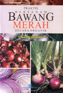 Praktis Bertanam Bawang Merah Secara Organik