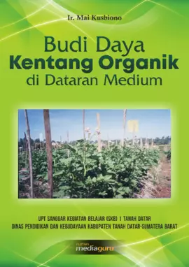 Budi daya kentang organik di dataran medium