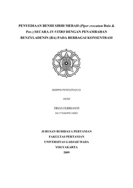 Penyediaan Benih Sirih Merah (Piper Crocatum Ruiz & Pav.) Secara In Vitro Dengan Penambahan Benzyladenin (Ba) Pada Berbagai Konsentrasi