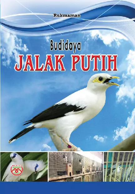 Budidaya Jalak Putih