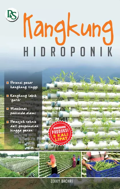 Kangkung Hidroponik