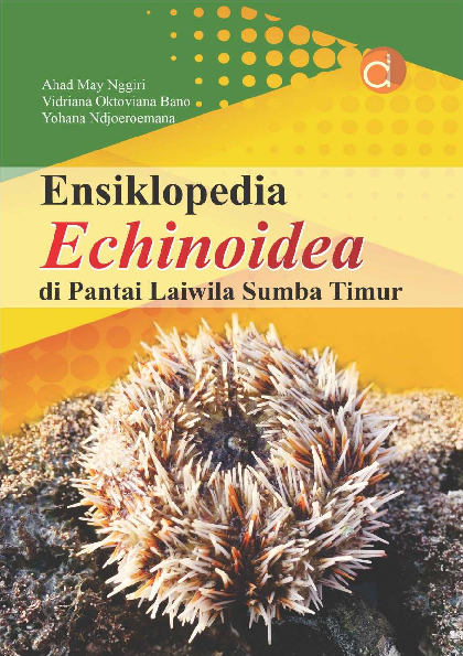 Ensiklopedia Echinoidea di Pantai Laiwila Sumba Timur