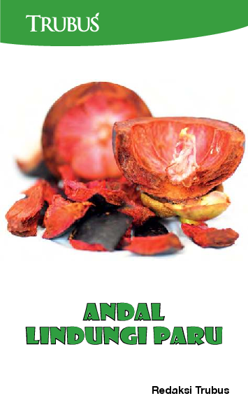 Andal Lindungi Paru