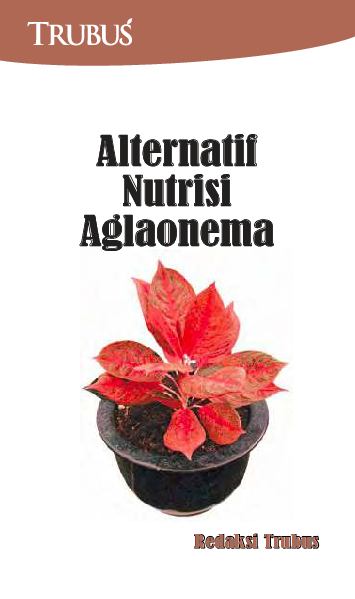 Alternatif Nutrisi Aglaonema