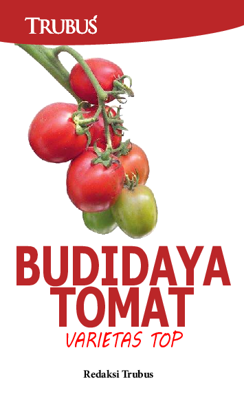 Budidaya Tomat Varietas Top