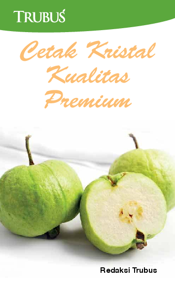 Cetak Kristal Kualitas Premium