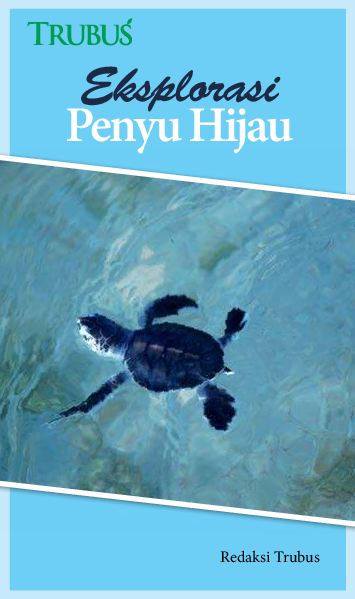 Eksplorasi Penyu Hijau