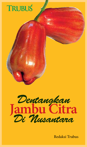 Dentangkan Jambu Citra di Nusantara