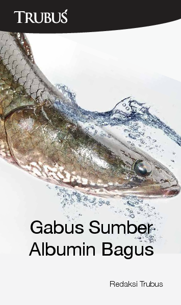 Gabus Sumber Albumin Bagus