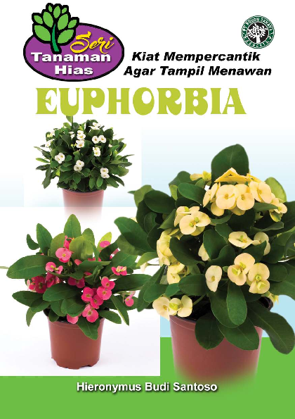 Euphorbia Kiat Mempercantik Agar Tampil Menawan