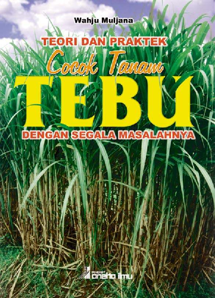 Teori dan Praktek Cocok Tanam Tebu dengan Segala Masalahnya
