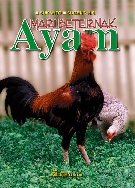 Mari Beternak Ayam