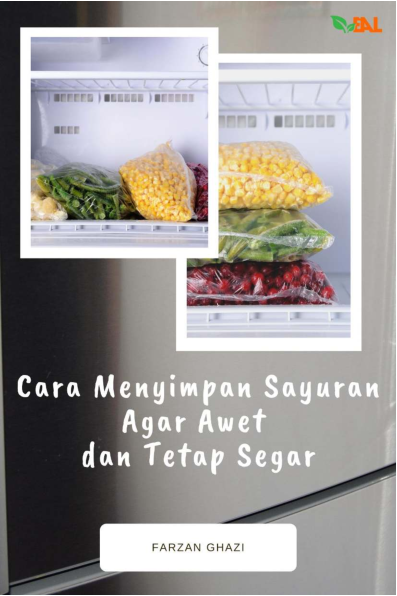 Cara Menyimpan Sayuran Agar Awet dan Tetap Segar